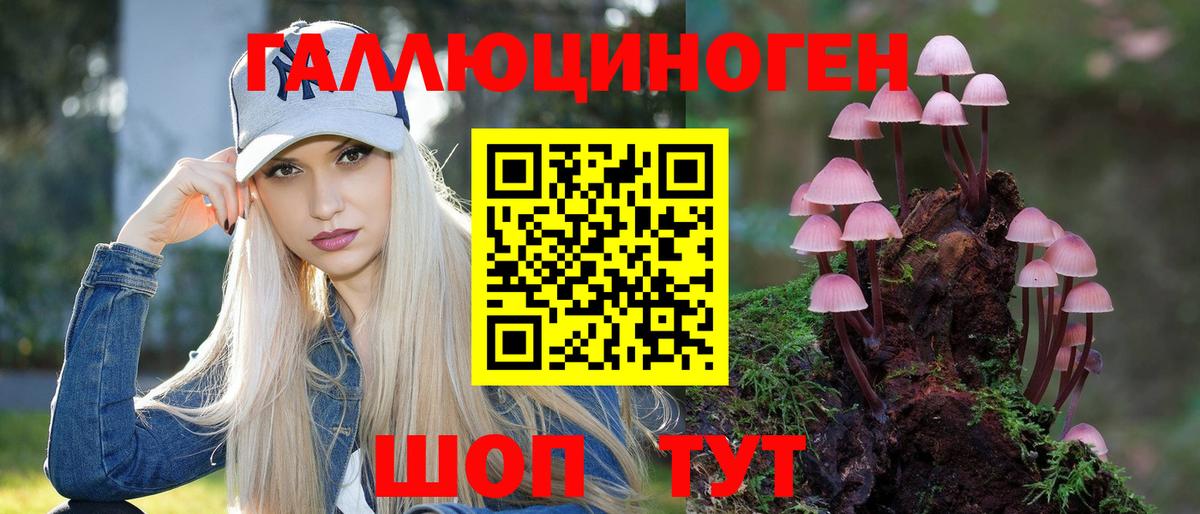 Псилоцибиновые грибы Psilocybe Бахчисарай
