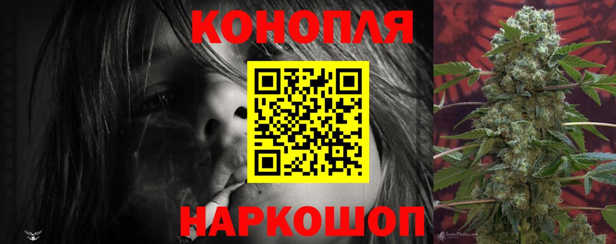 Бахчисарай  Каннабис VHQ  МАРИХУАНА сатива  Бошки марихуана планчик  Каннабис AK-47  Вход с VPN 